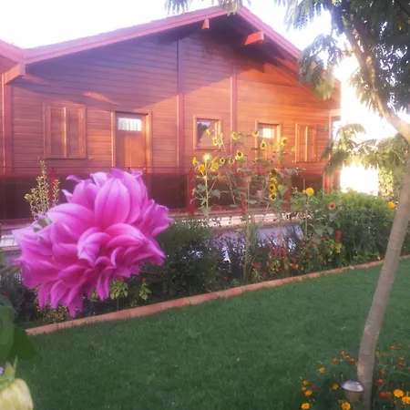 Georges Apartman Cortes